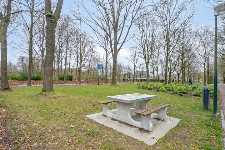 Foto 47 van Antoon van der Heijdenstraat 1