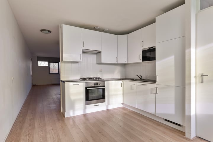 Foto 2 van Laan van de Mensenrechten 132