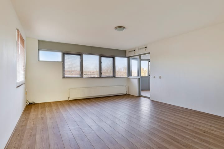 Foto 3 van Laan van de Mensenrechten 132