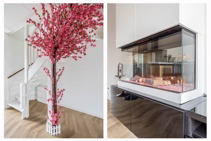 Foto 6 van Fresiatuin 14