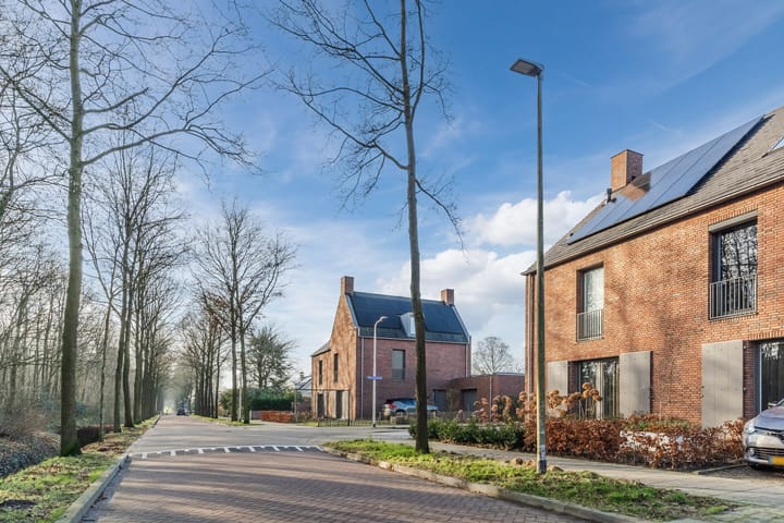 Foto 2 van Streek 42