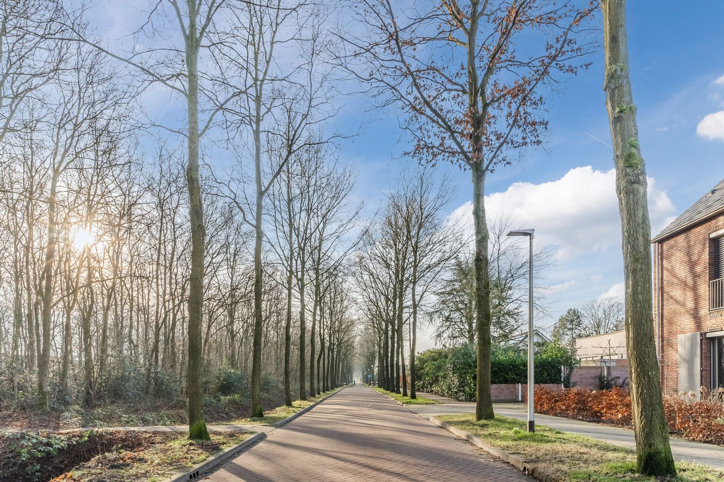 Foto 49 van Streek 42