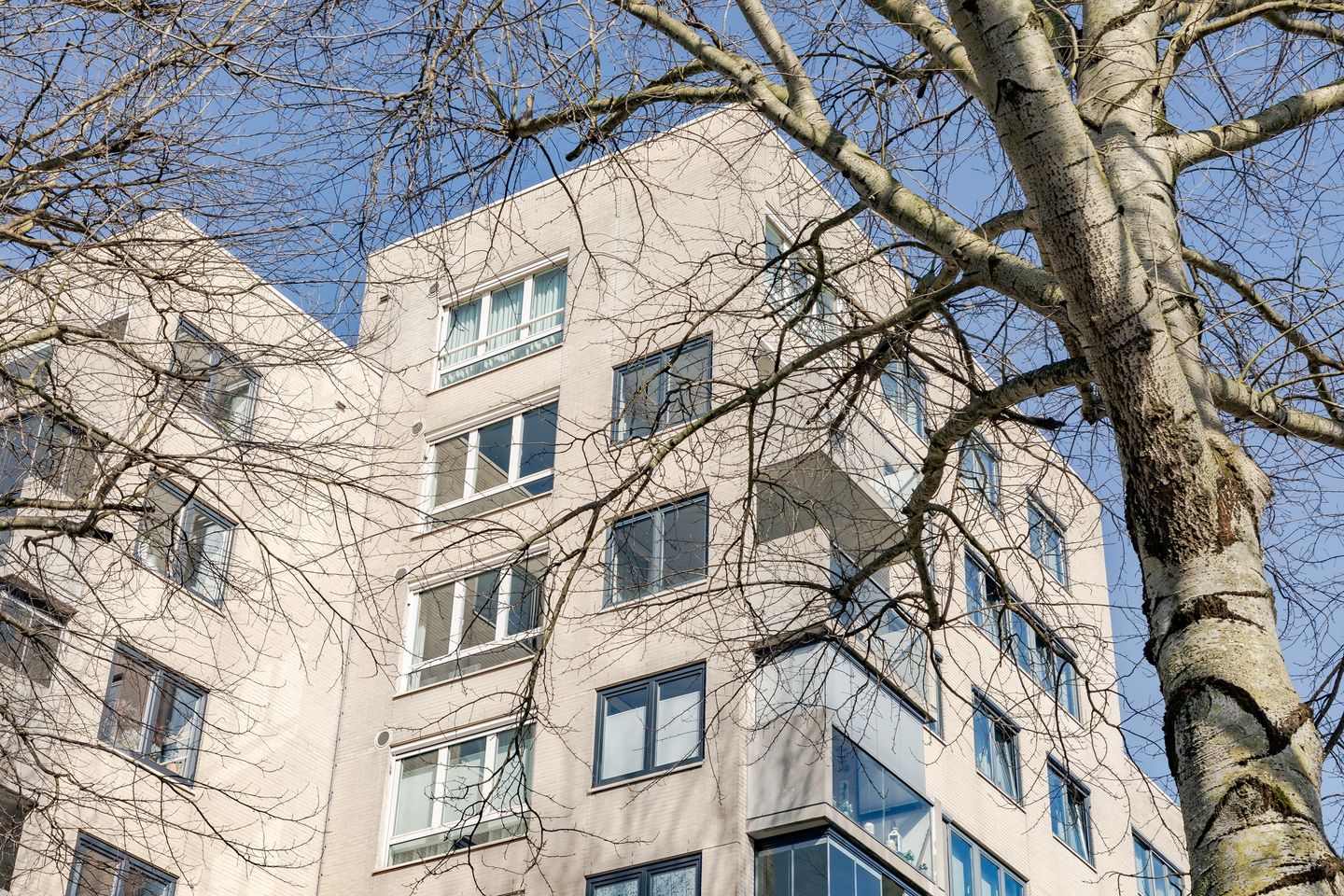 Foto 40 van Orionstraat 203