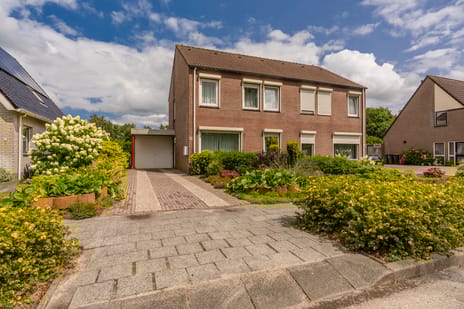 undefined main image