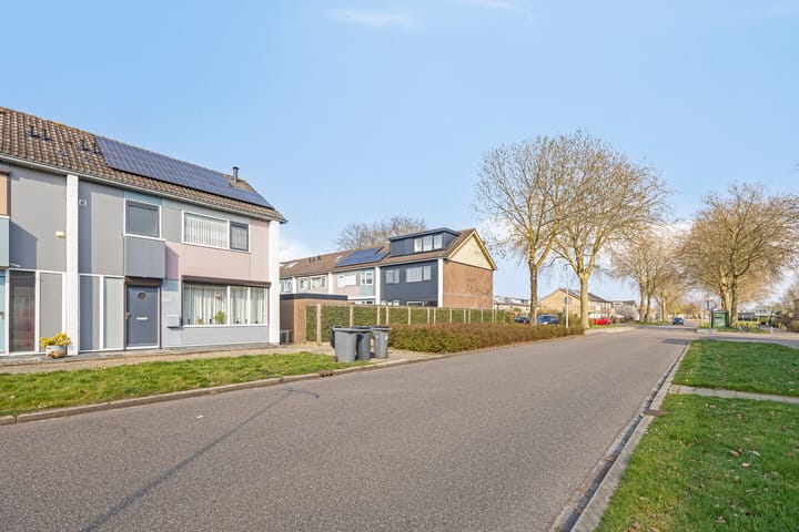 Foto 23 van Heilige Stoel 3826