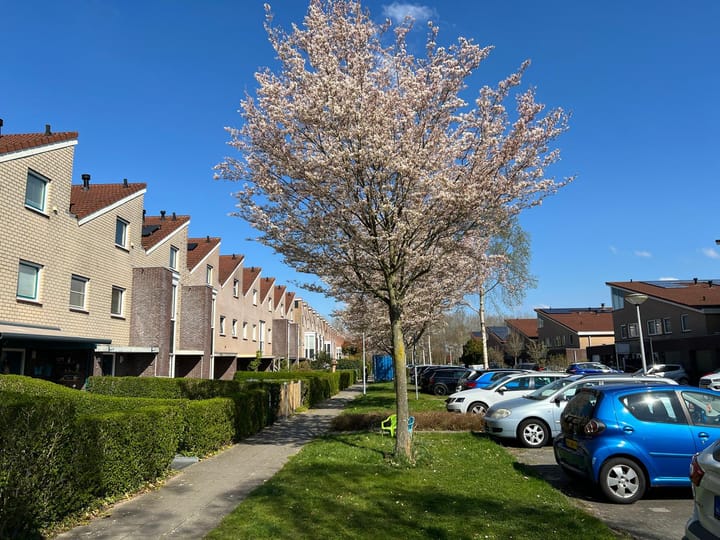 Foto 33 van Jozef Israëlslaan 137