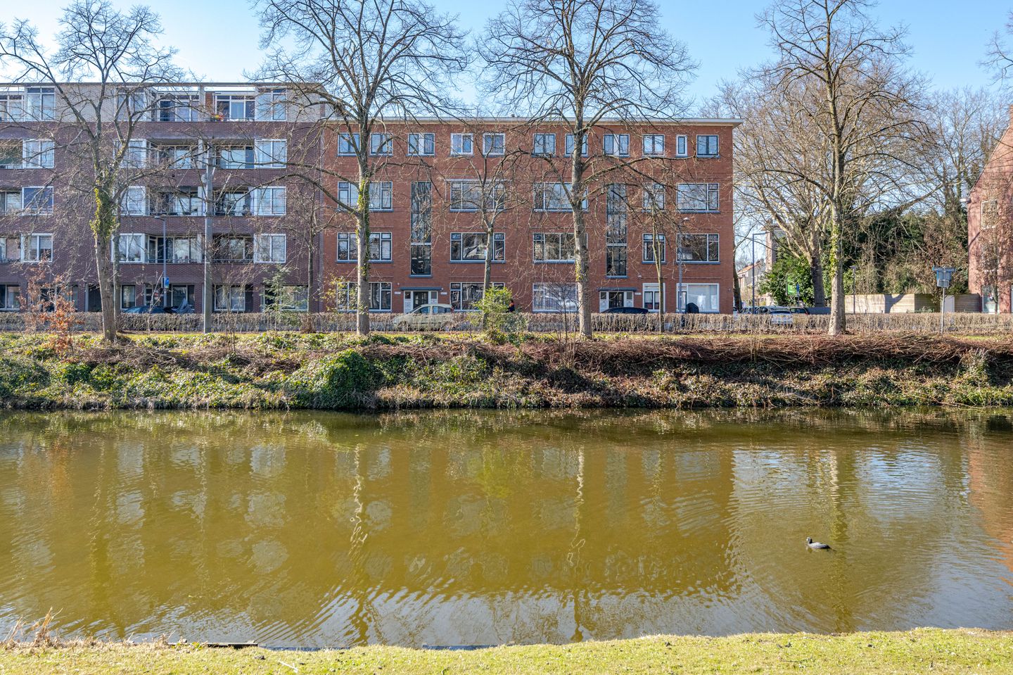 Foto 1 van Boergoensevliet 207-B