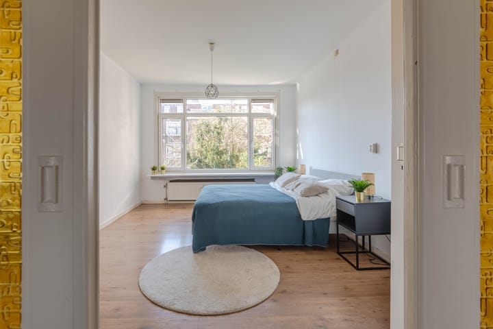 Foto 3 van Boergoensevliet 207-B