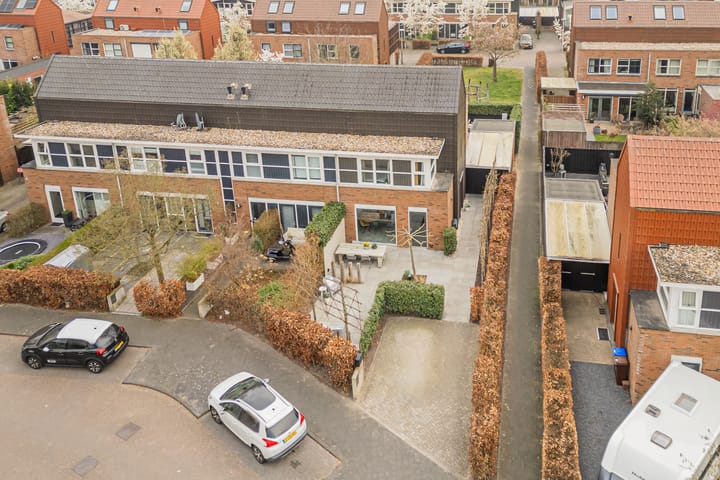 Foto 2 van Schoenlappervlinder 28