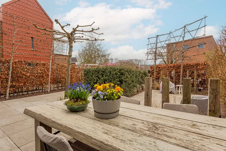 Foto 3 van Schoenlappervlinder 28