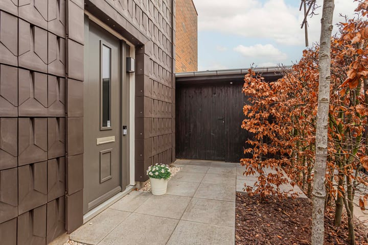 Foto 4 van Schoenlappervlinder 28