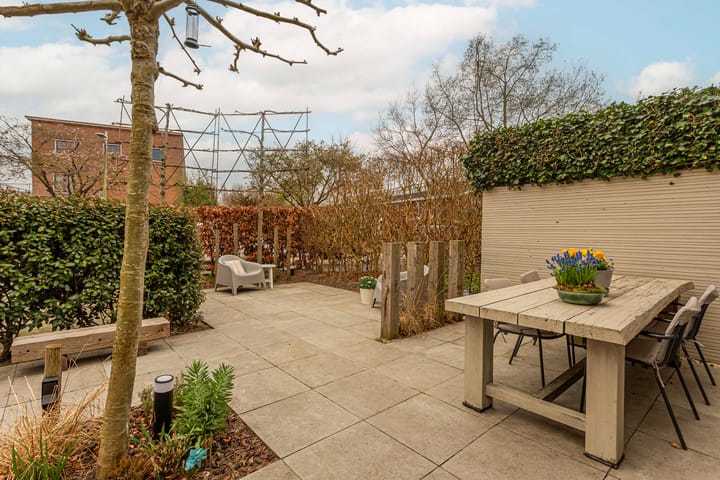 Foto 5 van Schoenlappervlinder 28