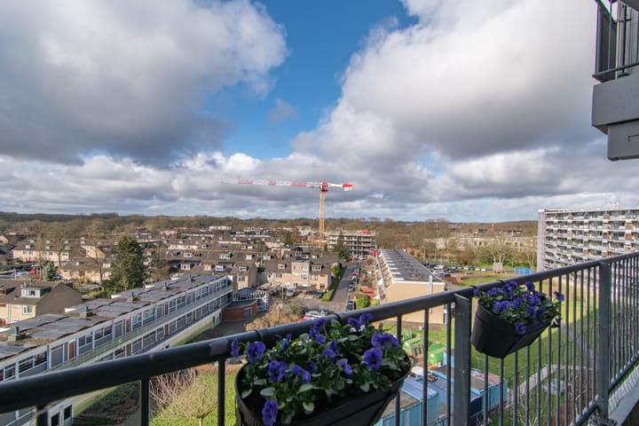 Foto 21 van Zalkerbos 243