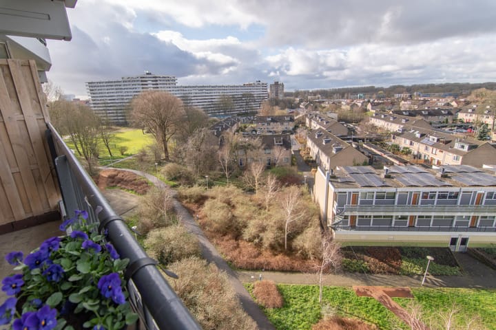 Foto 23 van Zalkerbos 243