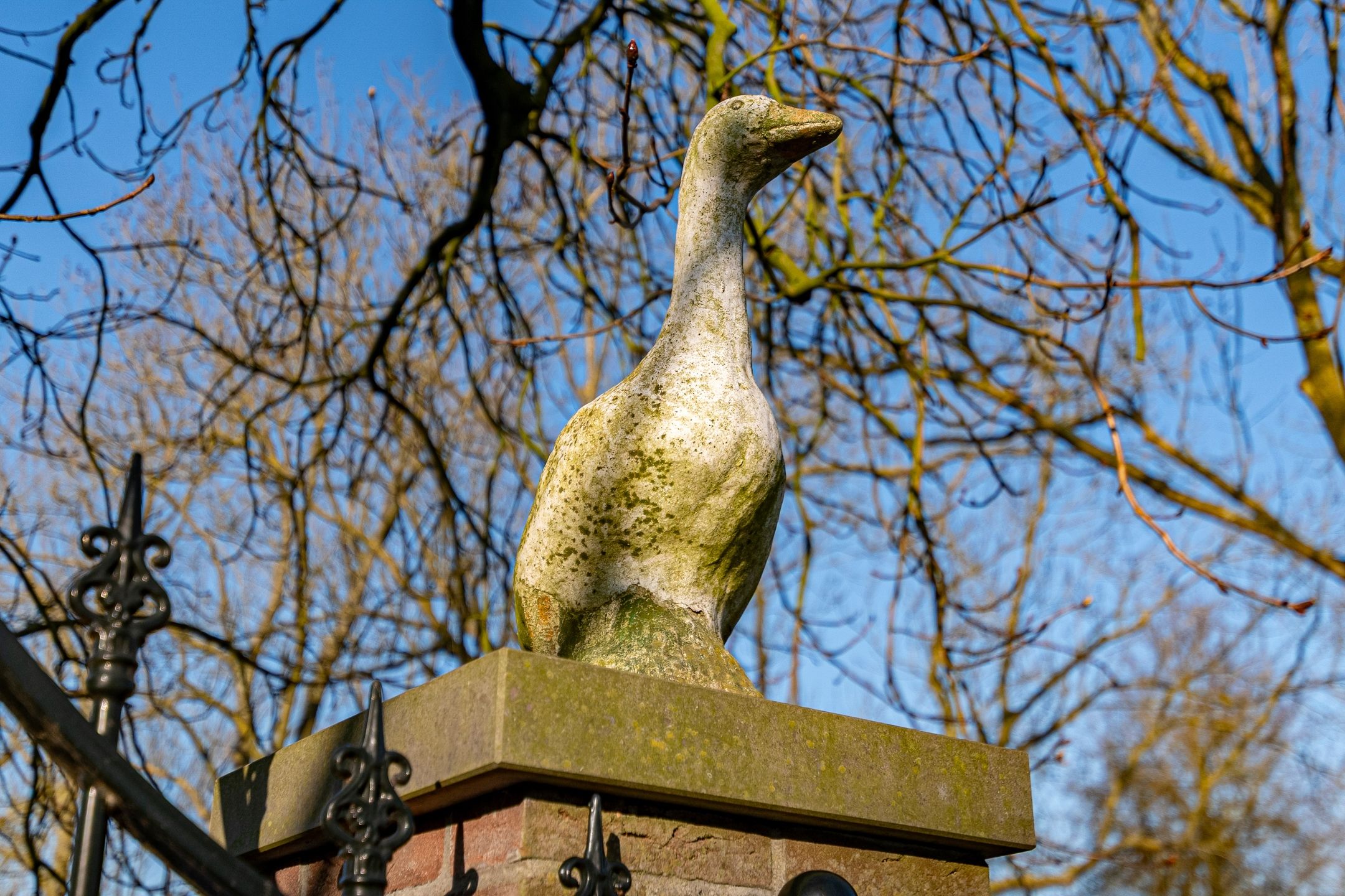 Foto 3 van Wormerweg 34