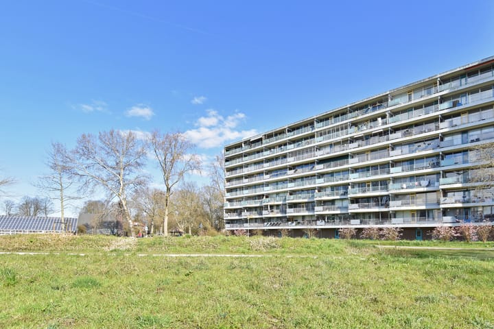 Foto 4 van Belvédèrebos 177