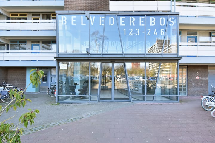 Foto 5 van Belvédèrebos 177