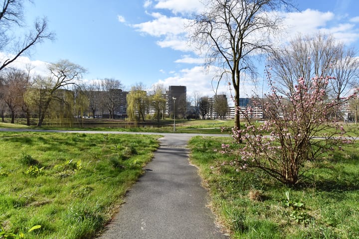 Foto 33 van Belvédèrebos 177