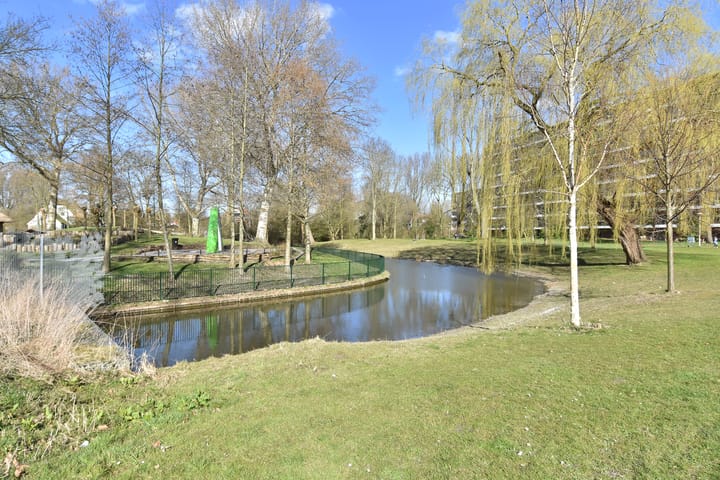 Foto 35 van Belvédèrebos 177