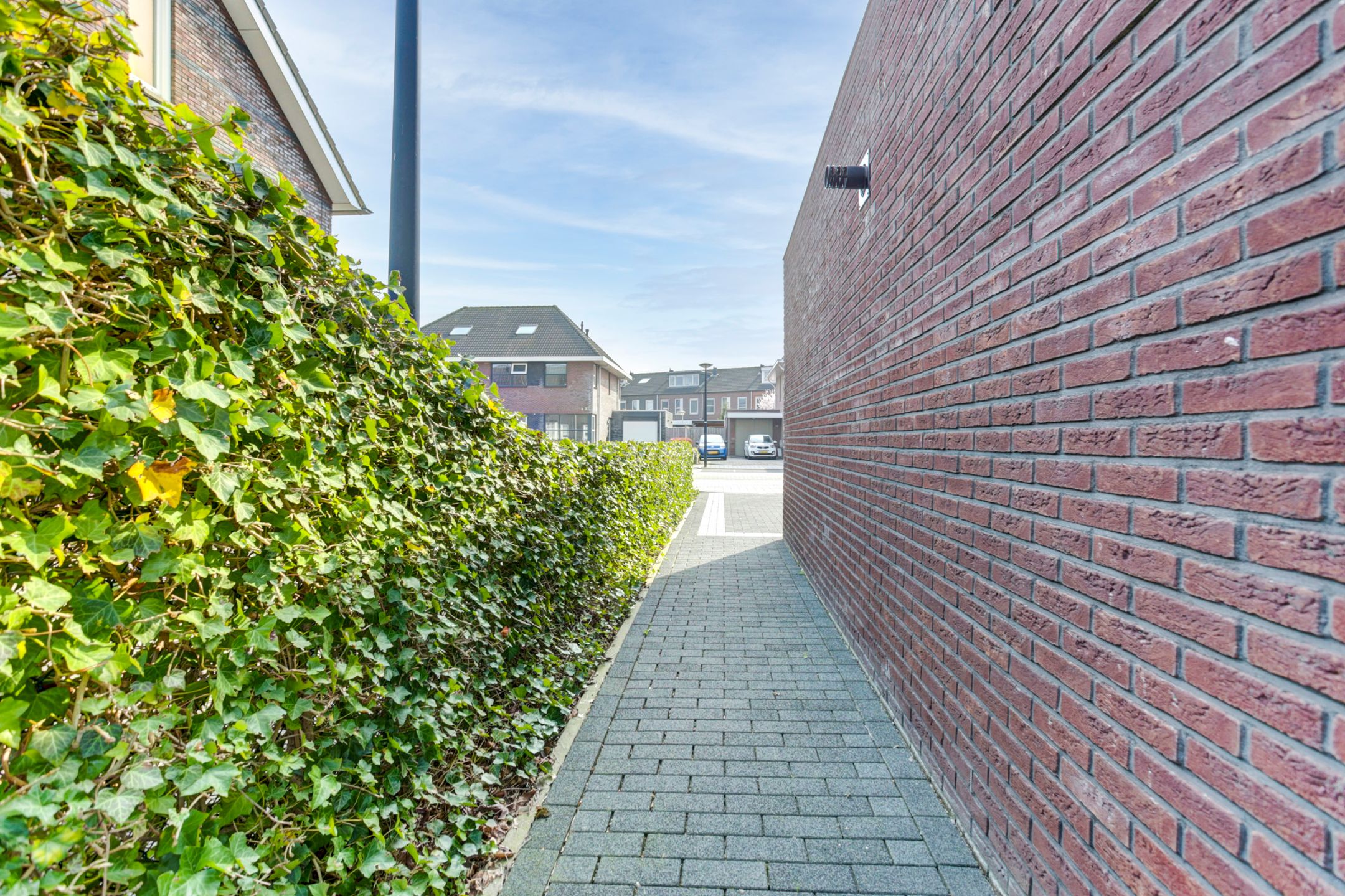 Foto 36 van Timmerliedengilde 76