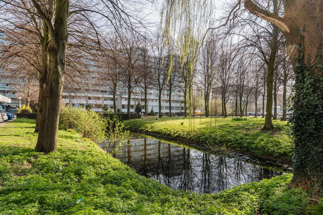 Foto 28 van Forellendaal 1014