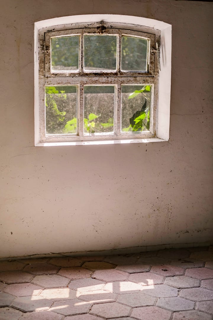 Foto 8 van Winkeldijk 29