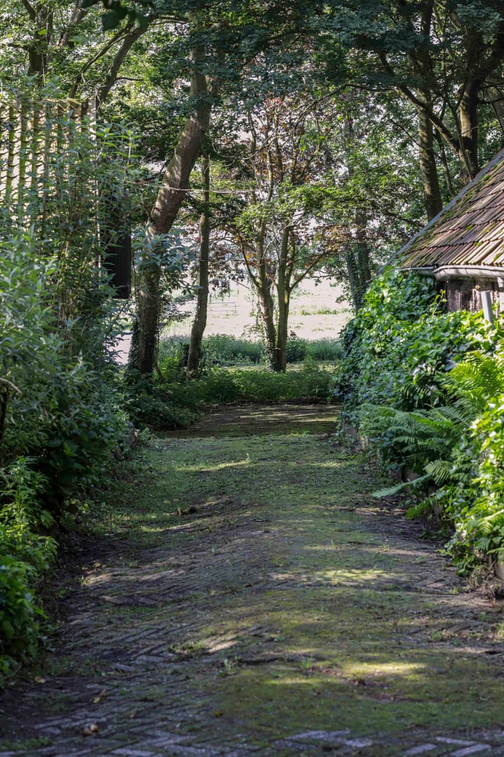 Foto 18 van Winkeldijk 29