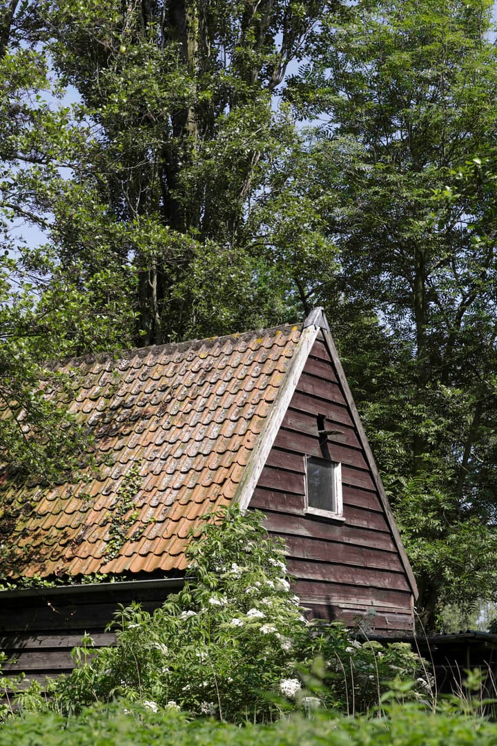 Foto 21 van Winkeldijk 29