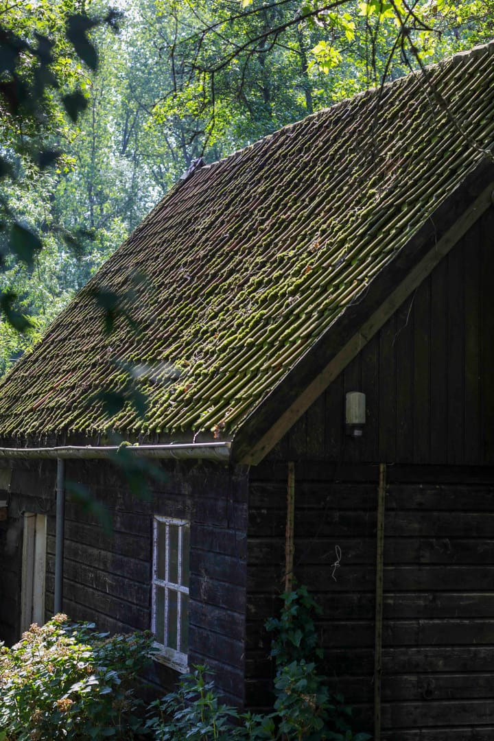 Foto 22 van Winkeldijk 29