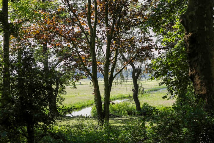 Foto 23 van Winkeldijk 29