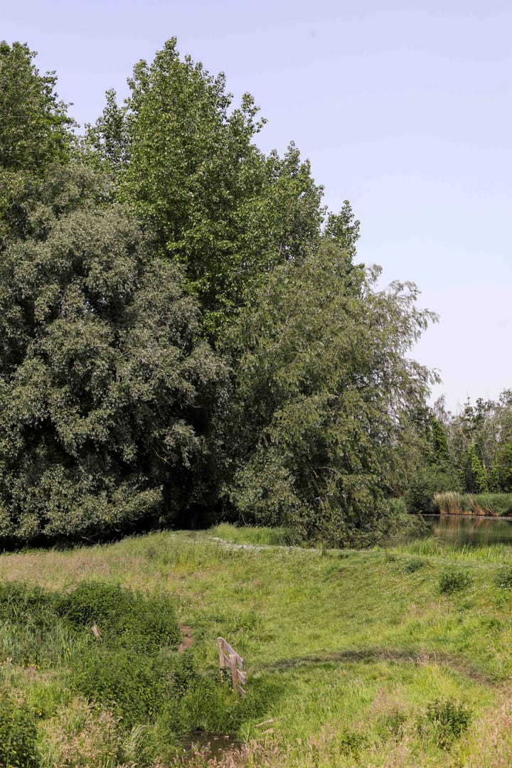 Foto 26 van Winkeldijk 29