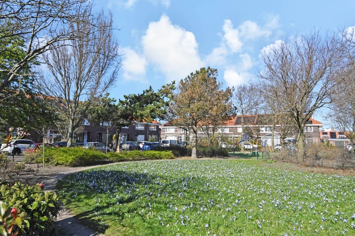 Foto 41 van Pluvierstraat 13