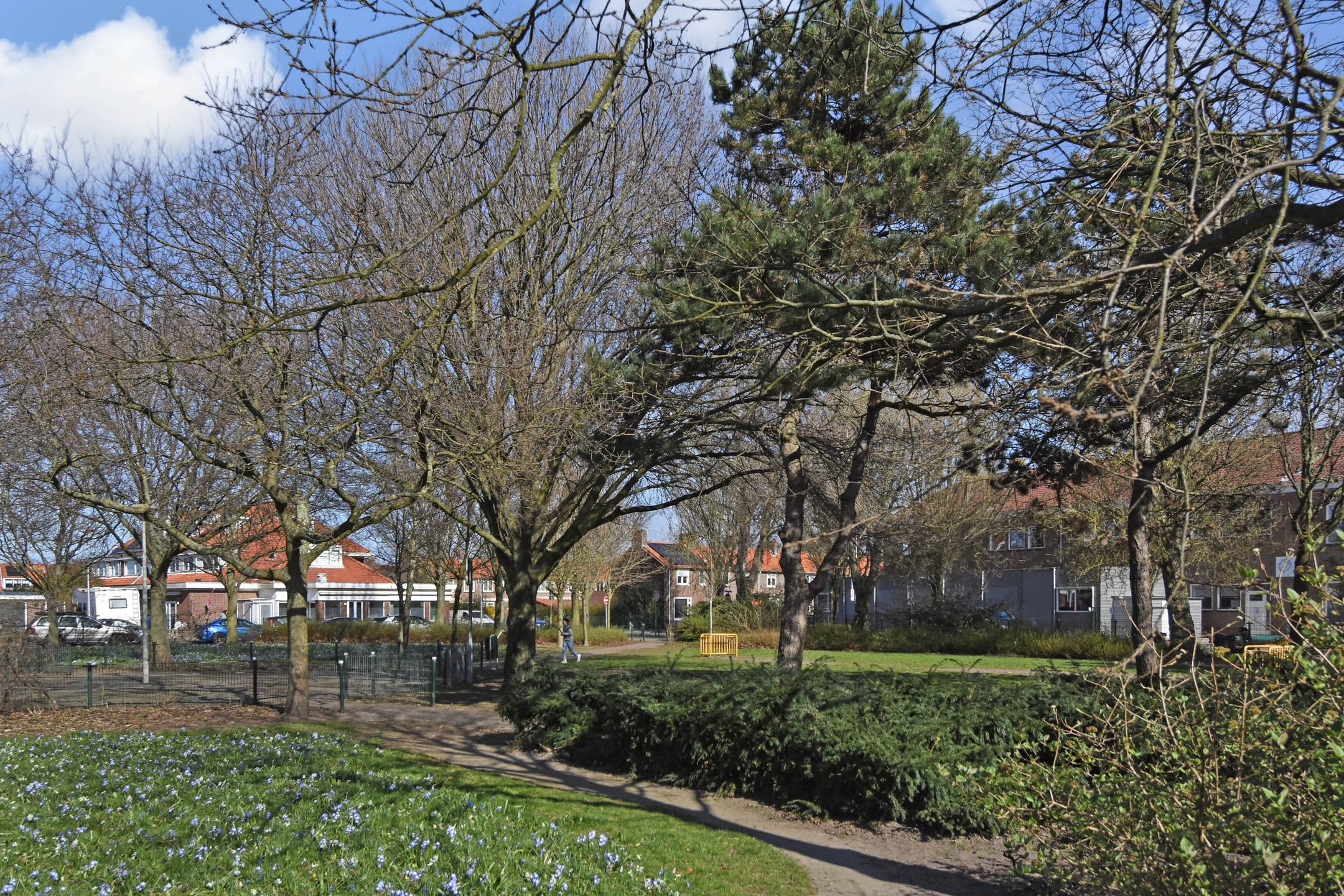 Foto 42 van Pluvierstraat 13