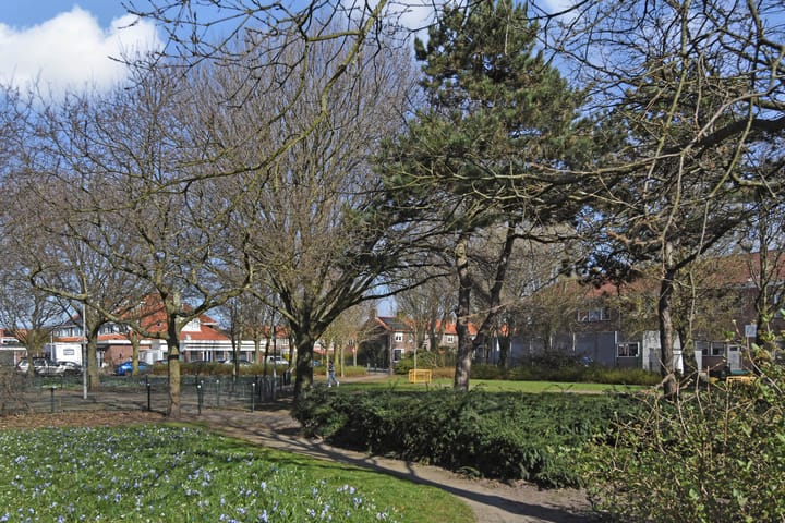 Foto 42 van Pluvierstraat 13