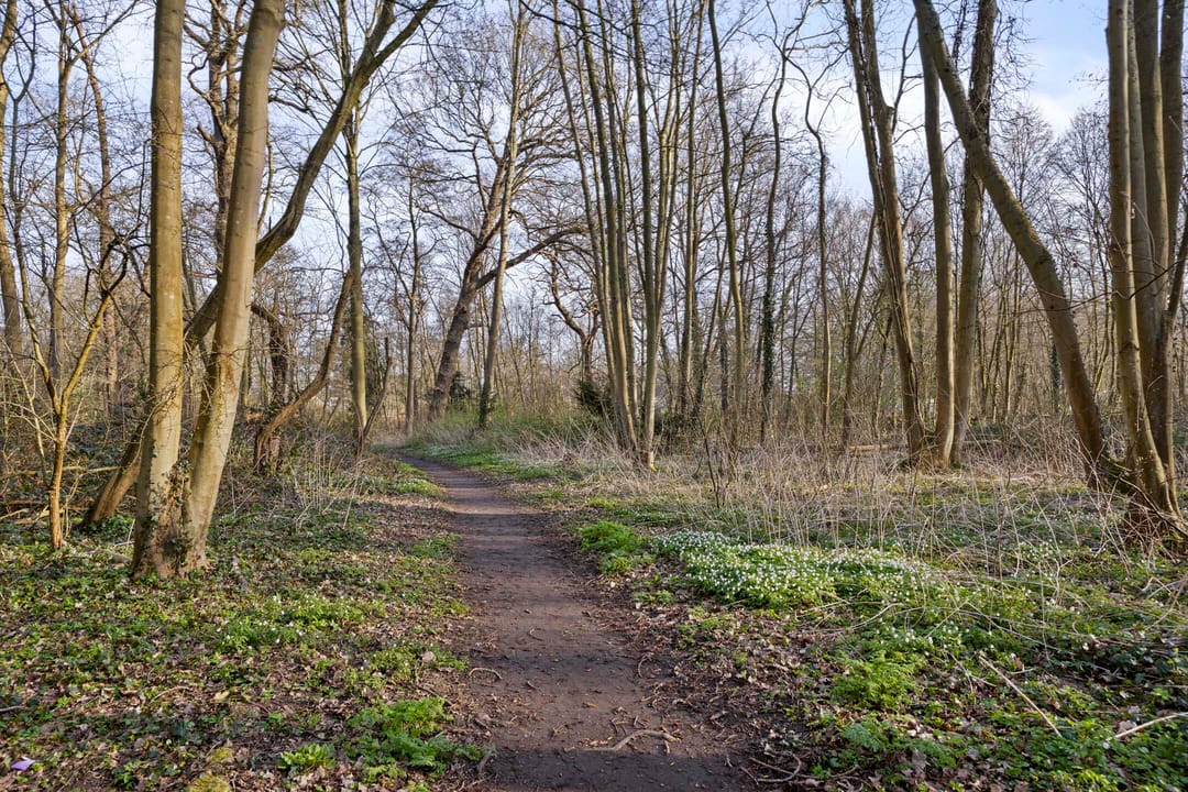 Foto 53 van Endegeesterstraatweg 9