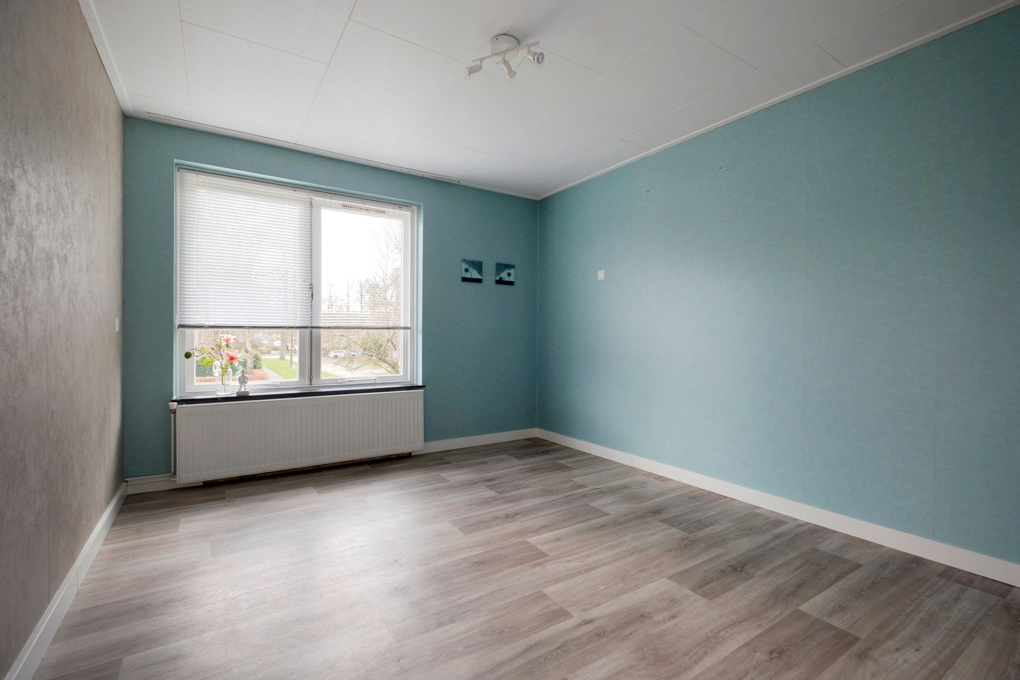 Foto 33 van Hertshooistraat 20