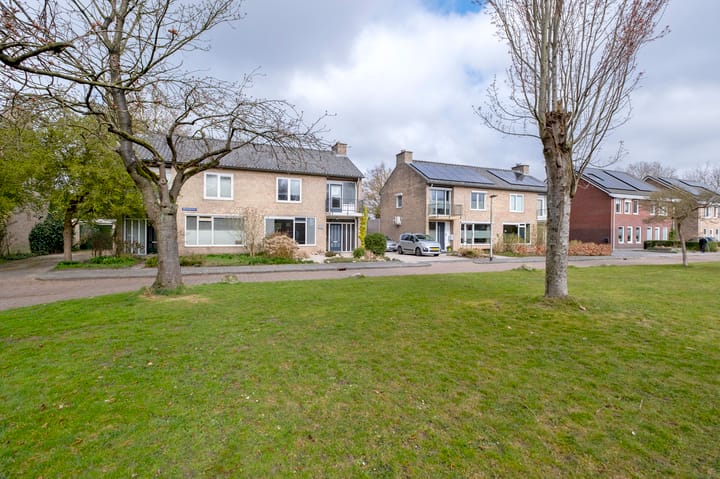 Foto 55 van Hertshooistraat 20