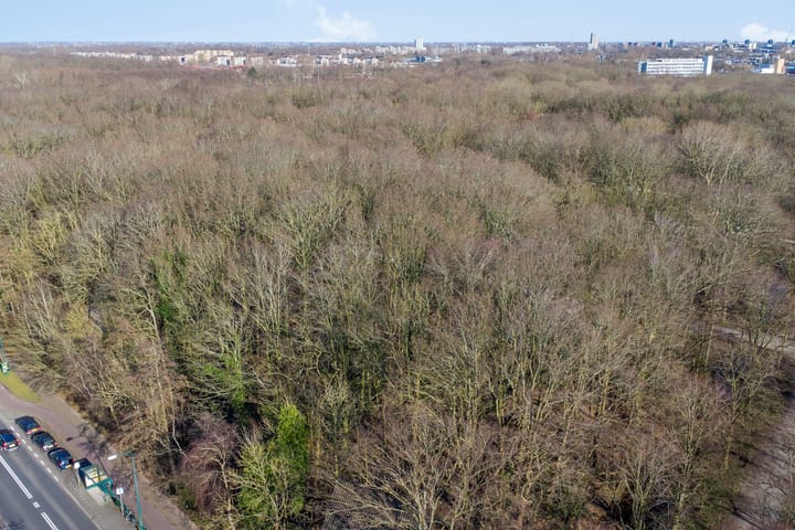 Foto 46 van Warmonderweg 51