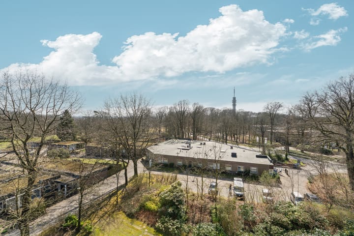 Foto 4 van Jachthoornlaan 52