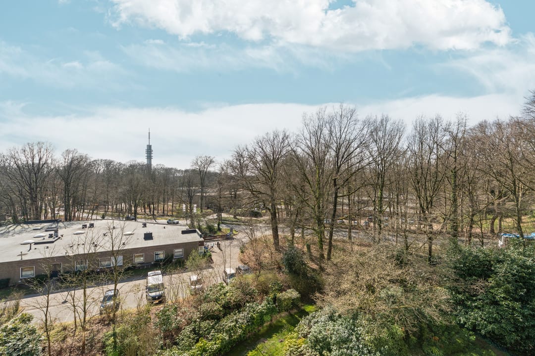 Foto 26 van Jachthoornlaan 52