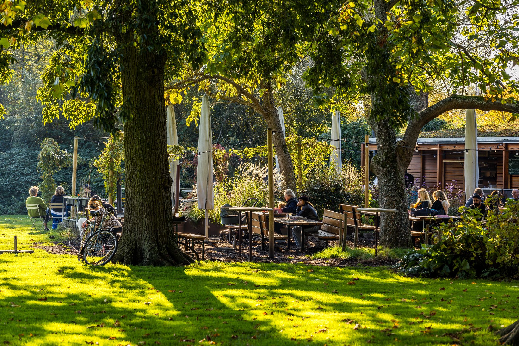 Foto 45 van Rodenrijsestraat 76-A