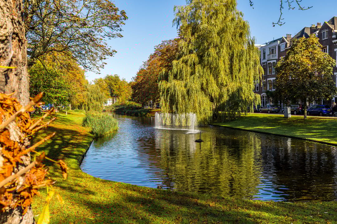 Foto 46 van Rodenrijsestraat 76-A