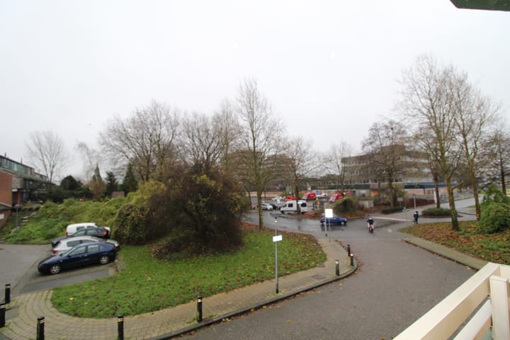 Photo 28 of Bastion 101