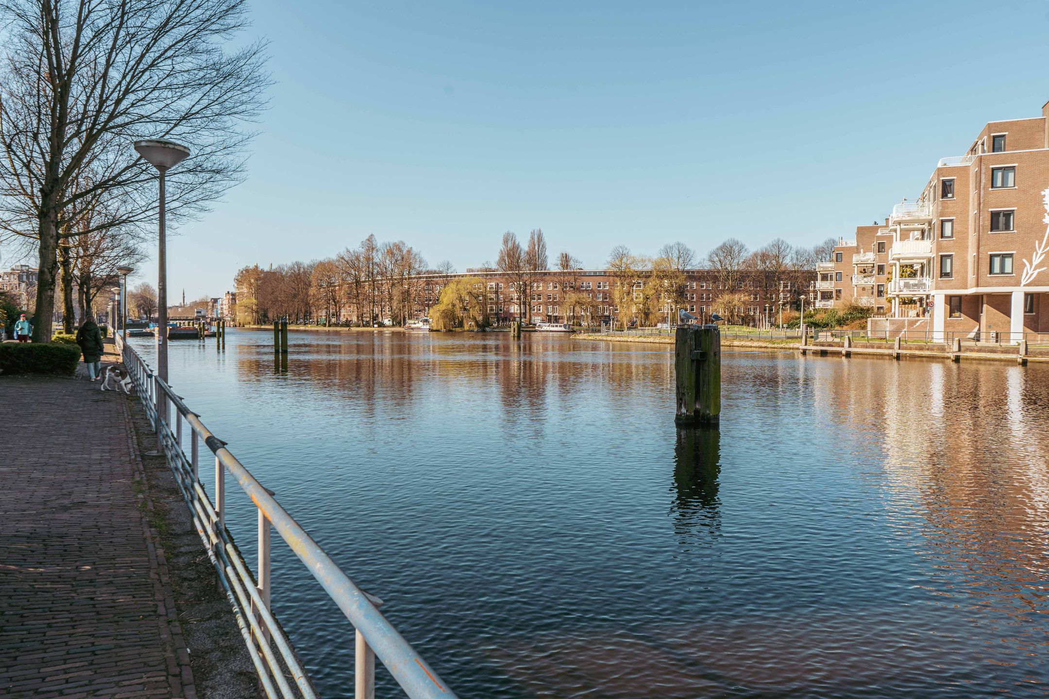 Foto 27 van Van Reigersbergenstraat 71-2