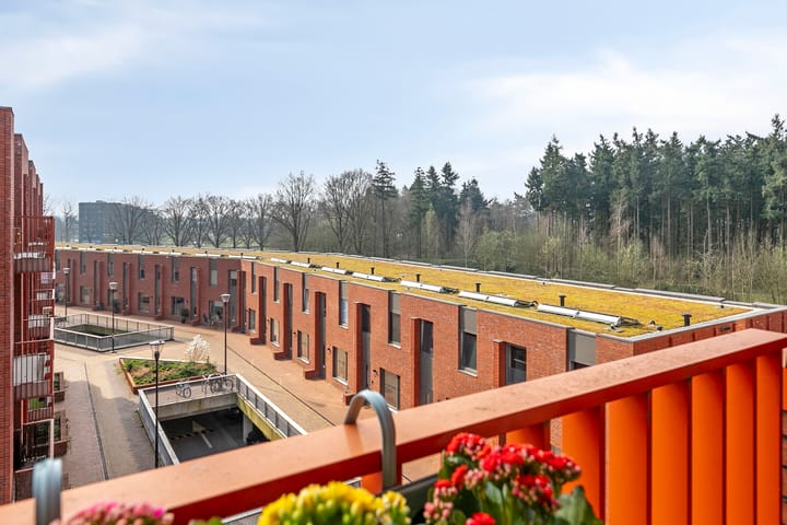 Foto 32 van Meerwater 55