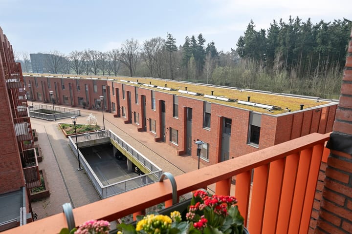 Foto 35 van Meerwater 55