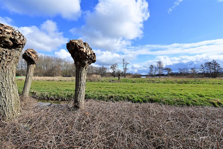 Foto 7 van Bloklaan 22-AZT15