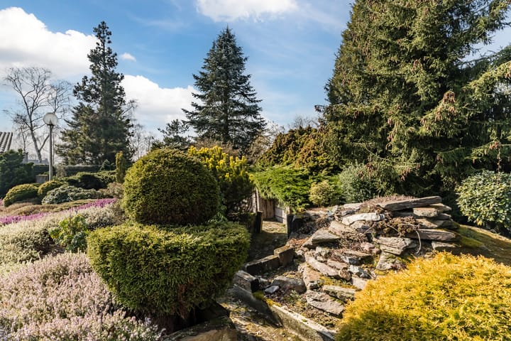 Foto 55 van De Baan 6