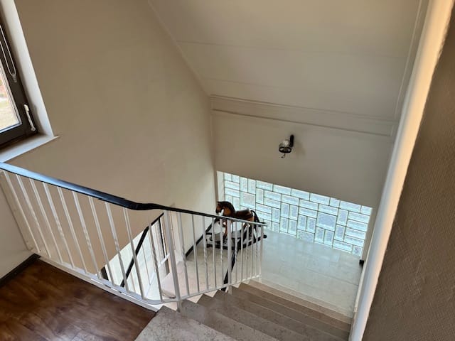 Foto 17 van Kiefernstrasse 22