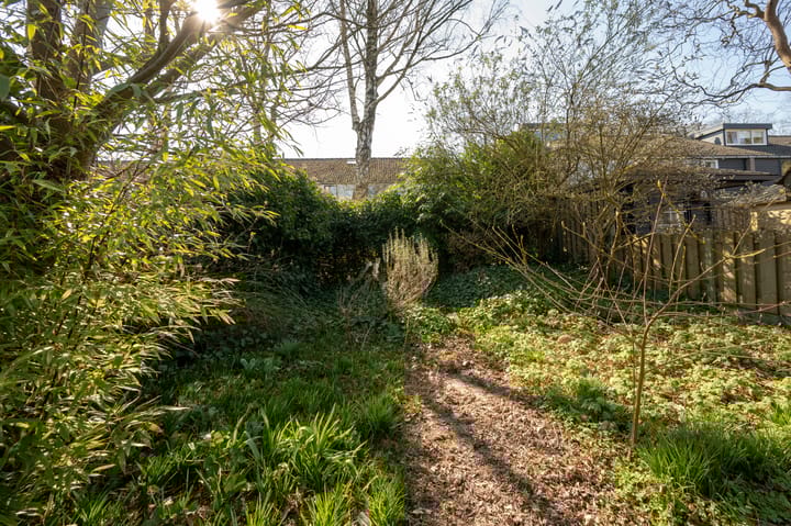 Foto 21 van Laan van de Bork 380